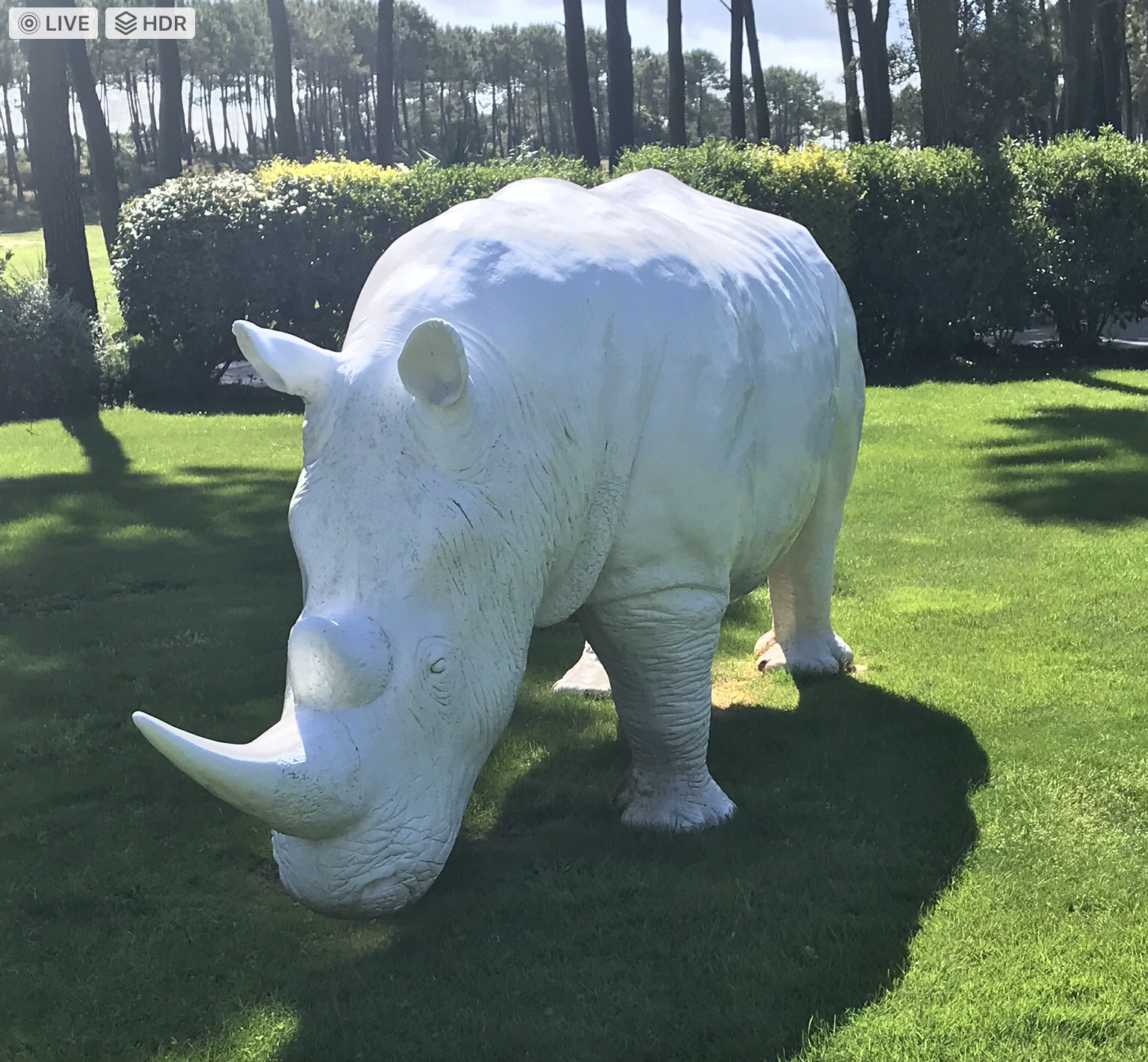 rhinoceros en fibre de verre blanc